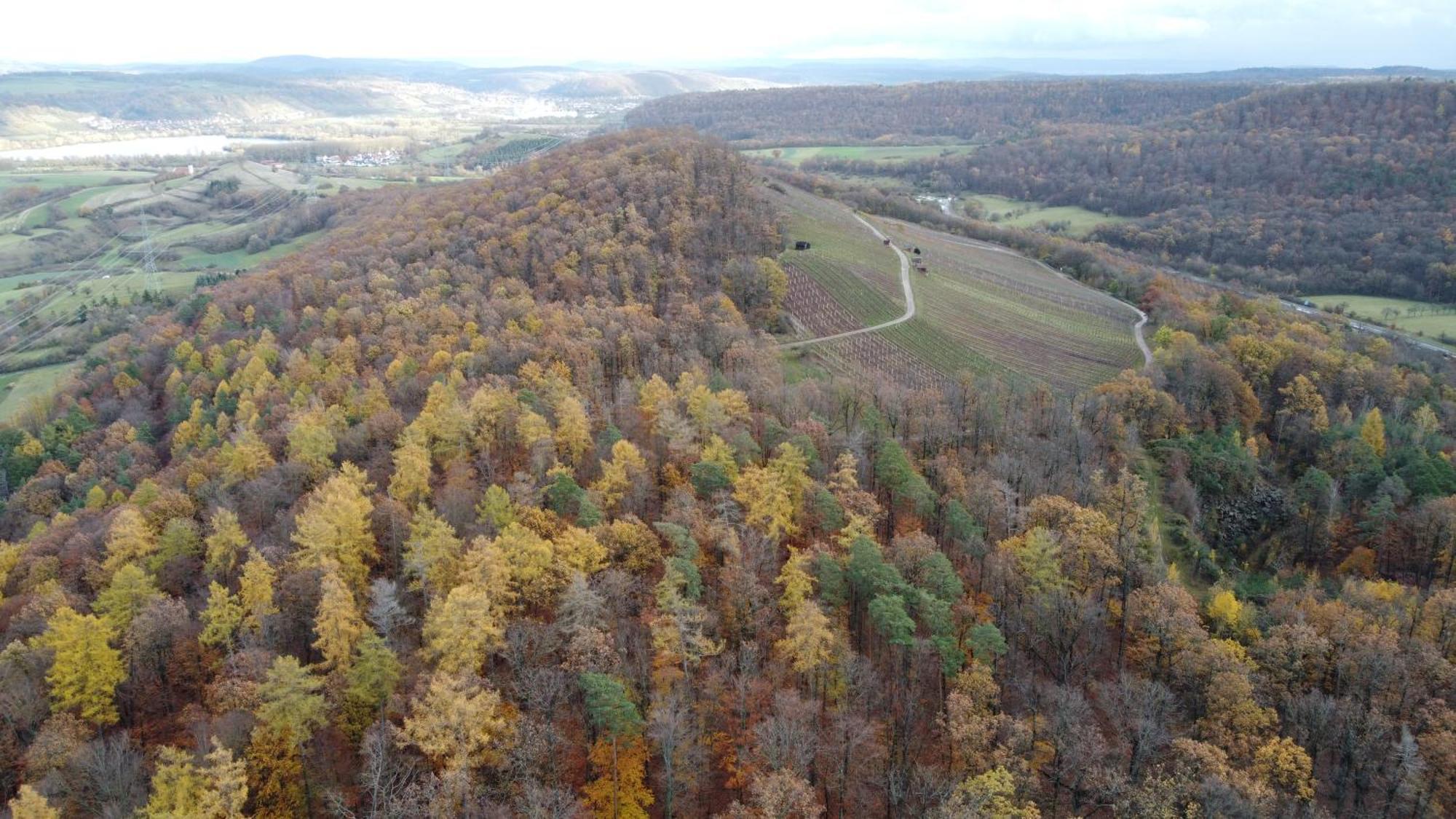 شقة Pausenhof Zweite-Heimat Rauhenebrach المظهر الخارجي الصورة